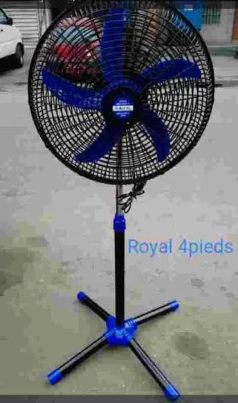 Ventilateur sur Pied Royal - 5 Pales